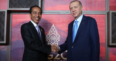 Лидеры Турции и Индонезии провели встречу на полях саммита G20