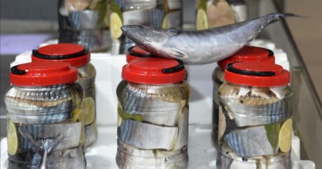 Участники фестиваля в Турции определят лучшую солёную рыбу