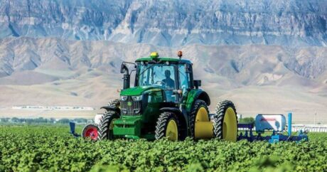 Сельхозсубсидии в Азербайджане освобождаются на год от подоходного налога