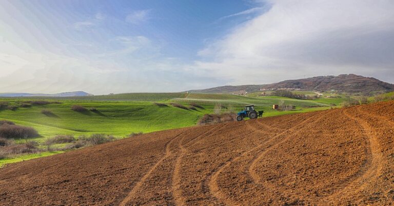 В Азербайджане 55,2% единого земельного фонда пригодны для сельского хозяйства