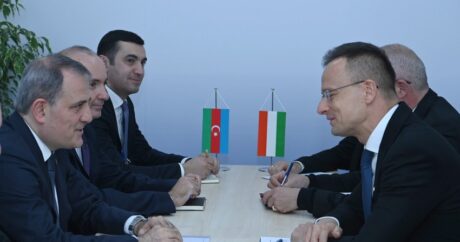 Главы МИД Азербайджана и Венгрии обсудили вопросы сотрудничества