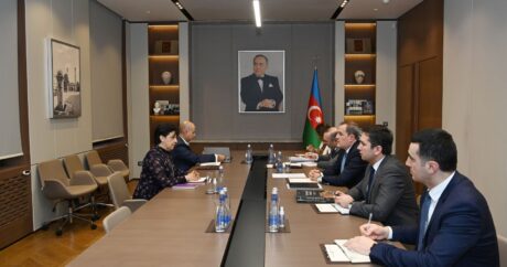 Расширяется сотрудничество между мозговыми центрами Азербайджана и Мексики