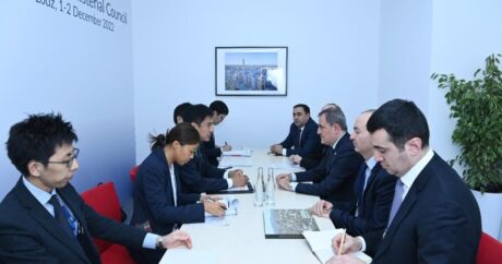 Глава МИД Азербайджана встретился с японским коллегой