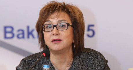 Малейка Аббасзаде: В законодательство должны быть внесены изменения касательно госслужбы