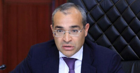 Микаил Джаббаров назвал объем инвестиций резидентов в промзоны Азербайджана