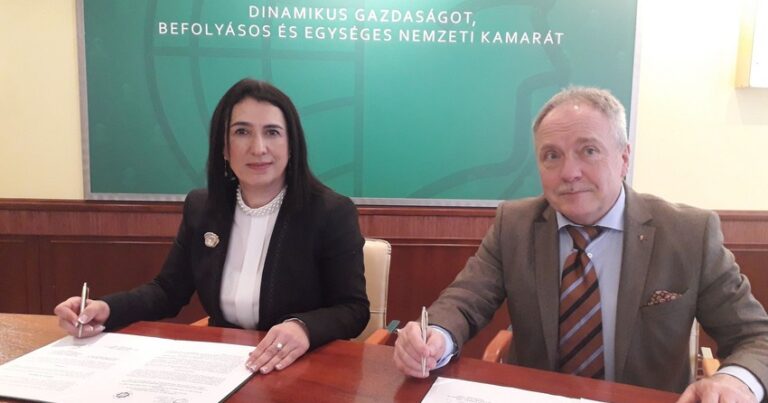 Азербайджан и Венгрия создают совместный деловой совет