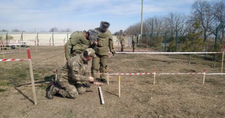 Проходят совместные занятия по боевой подготовке инженерных войск Азербайджана и Турции