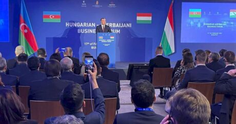 В Будапеште прошел азербайджано-венгерский бизнес-форум
