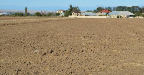 Муниципалитетам возвращено 13 089 га незаконно проданных земель