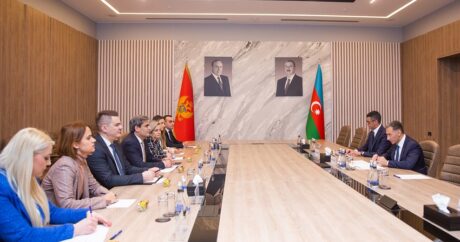 Азербайджан и Черногория расширят сотрудничество в сфере транспорта и инноваций