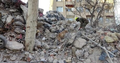 Спасатели МЧС Азербайджана извлекли из-под завалов в Турции еще 12 тел