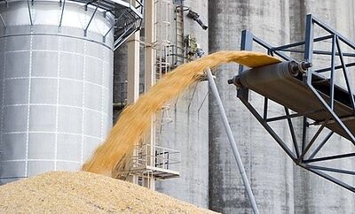 Назван объём производства пшеницы в агропарках Азербайджана