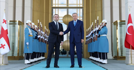 Президент Эрдоган принял премьер-министра Грузии