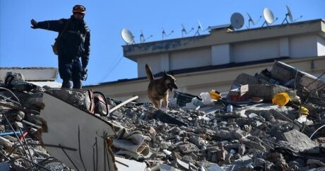 В числе жертв землетрясения в Турции — девять борцов