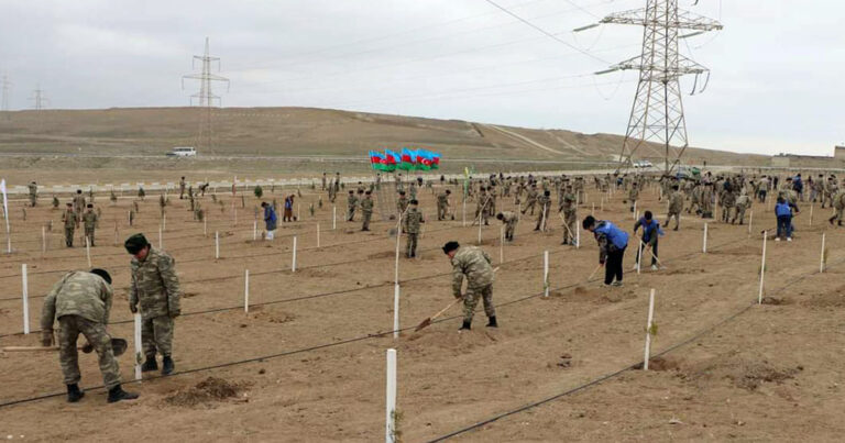 В Азербайджанской армии проведены акции по посадке деревьев