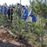 В честь 100-летия со дня рождения общенационального лидера Азербайджана будут высажены три млн деревьев