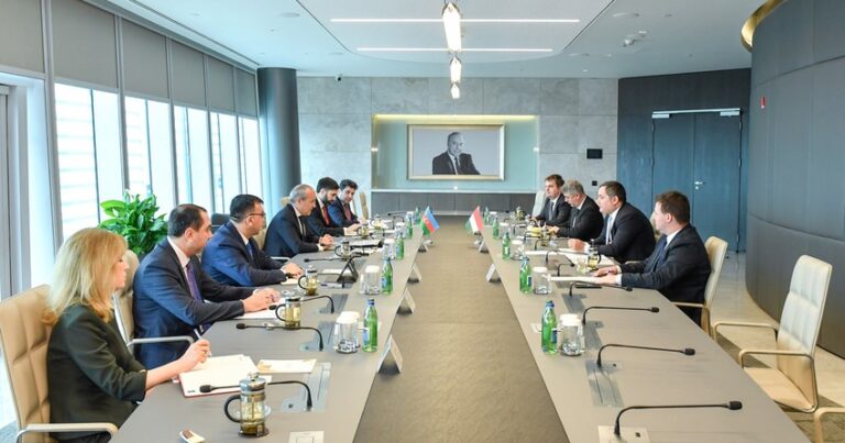Азербайджан и Венгрия обсудили расширение сотрудничества в ряде сфер
