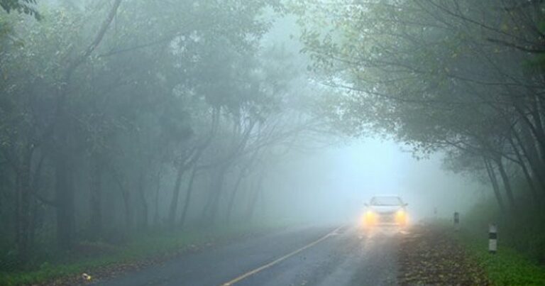 Из-за густого тумана видимость на некоторых автомагистралях будет ограничена