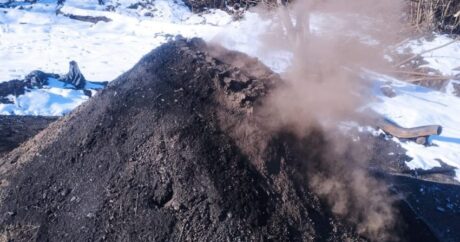 В Габале, Губе и Масаллы ликвидированы незаконные угольные скважины