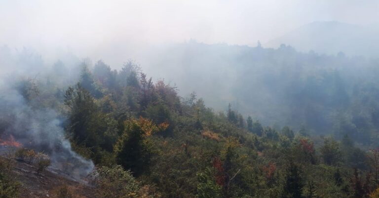Потушен пожар на территории Гирканского национального парка