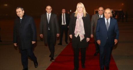 Председатель Президиума Боснии и Герцеговины прибыла в Азербайджан