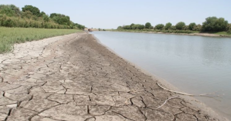 Названы причины снижения уровня воды в Куре