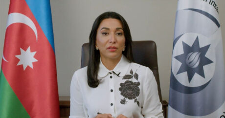 Омбудсмен Азербайджана выступает с докладом в Милли Меджлисе