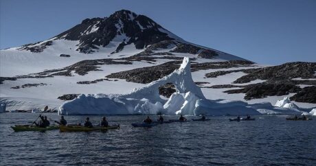 Турецкие ученые изучают в Антарктике влияние туризма на экологию