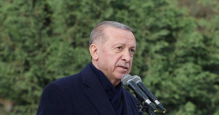 Эрдоган: Турция полна решимости устранить последствия масштабного бедствия