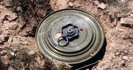 В Лянкаране обнаружены 8 противотанковых мин