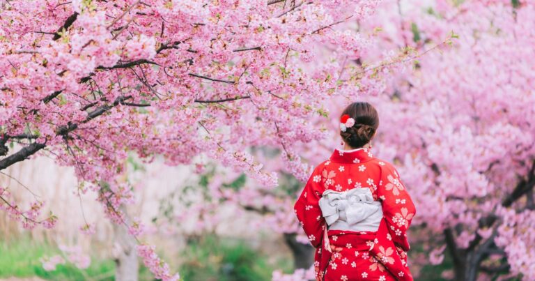Сезон цветения сакуры может принести экономике Японии 4,7 млрд долларов