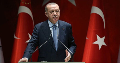 Эрдоган: Власти Турции нацелены на полное устранение последствий бедствия