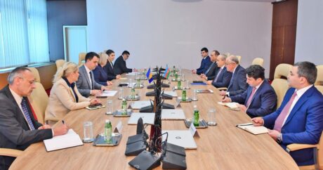 Названы приоритетные направления сотрудничества между Азербайджаном и Боснией и Герцеговиной
