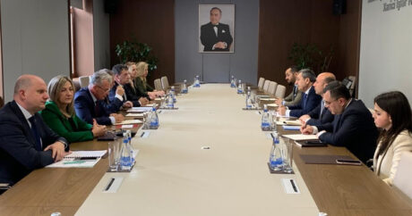 Хорватия заинтересована в дальнейшем расширении сотрудничества с Азербайджаном