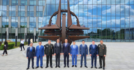 Между Азербайджаном и НАТО состоялся диалог по энергобезопасности