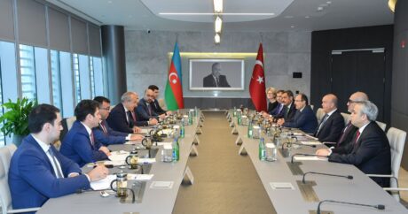 Азербайджан и Турция расширяют сотрудничество в сфере фармацевтики