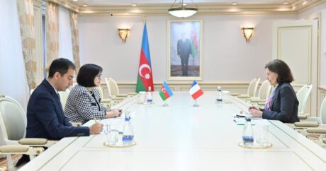 Сахиба Гафарова встретилась с послом Франции в Азербайджане