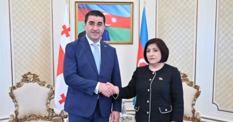 Сахиба Гафарова встретилась с председателем парламента Грузии