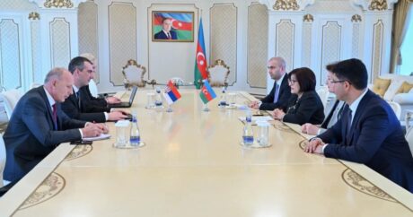 Сахиба Гафарова встретилась с председателем Национальной ассамблеи Сербии