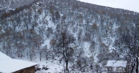 В ряде районов Азербайджана выпал снег — фактическая погода