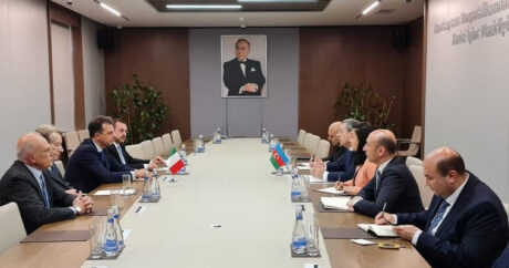 Обсуждено многоплановое стратегическое партнерство между Азербайджаном и Италией