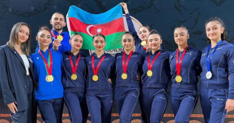 Азербайджанские гимнасты завоевали золотые медали на турнире в Каире