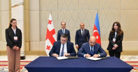 Азербайджан и Грузия расширяют сотрудничество в области регистрации недвижимости