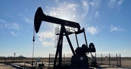 Стоимость азербайджанской нефти составила почти $79