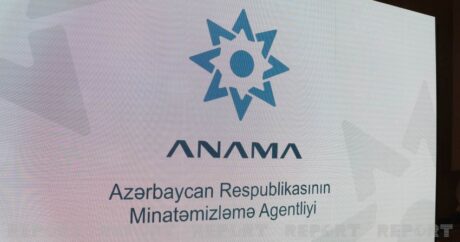 ANAMA объявило набор сотрудников