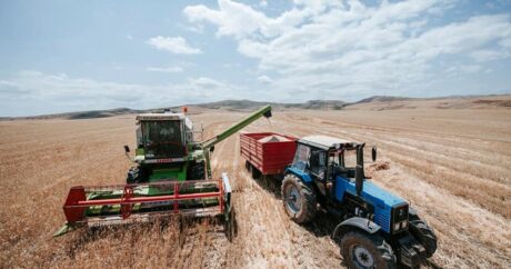 Аграрный сектор в Азербайджане вырос более чем на 3%
