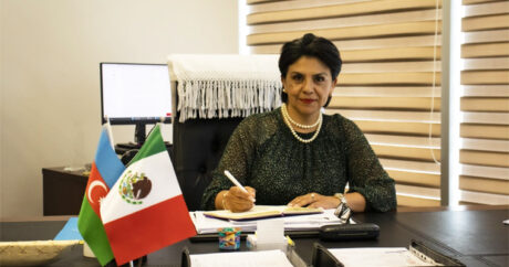 Мария Виктория Ромеро Кабальеро: «Я вижу огромный потенциал для дальнейшего развития отношений между Мексикой и Азербайджаном»