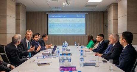 Энергетические регулирующие органы Азербайджана и Австрии обсудили направления сотрудничества
