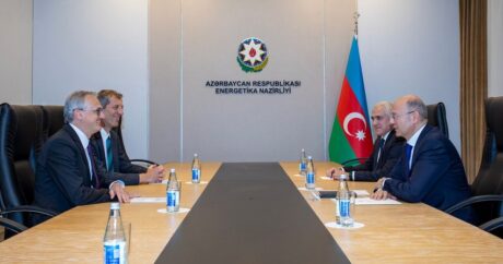 Азербайджан обсудил с Австрией перспективы сотрудничества в энергетической сфере