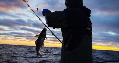 В Азербайджане с сентября снимаются ограничения на рыбную ловлю